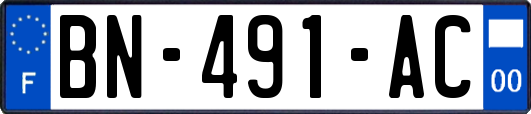 BN-491-AC