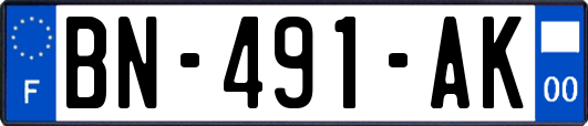 BN-491-AK