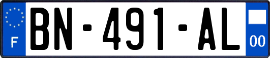 BN-491-AL