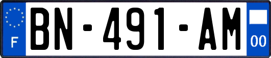 BN-491-AM