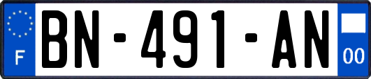 BN-491-AN