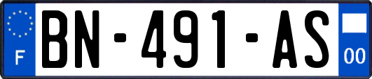 BN-491-AS