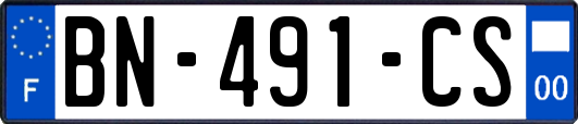 BN-491-CS