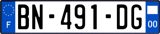 BN-491-DG