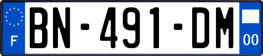 BN-491-DM