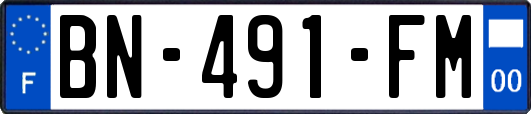 BN-491-FM
