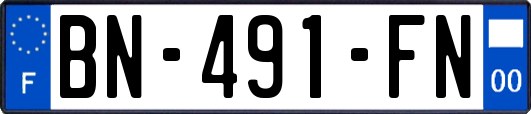 BN-491-FN