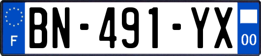 BN-491-YX