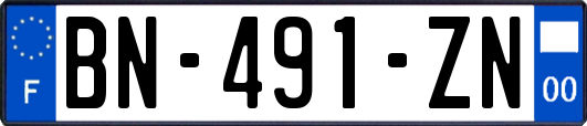 BN-491-ZN