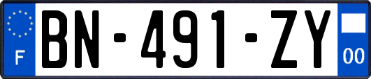 BN-491-ZY