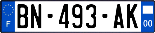 BN-493-AK