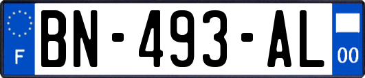 BN-493-AL