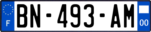 BN-493-AM