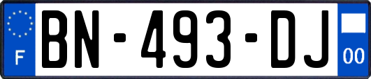 BN-493-DJ