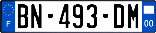 BN-493-DM