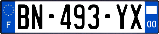 BN-493-YX