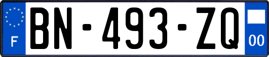 BN-493-ZQ