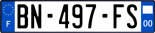 BN-497-FS