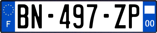 BN-497-ZP