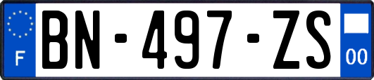 BN-497-ZS