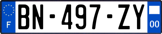 BN-497-ZY