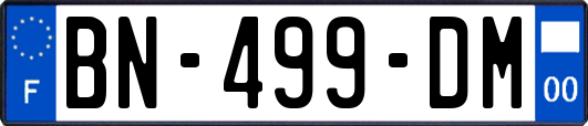 BN-499-DM