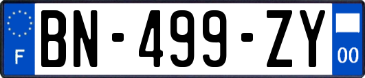 BN-499-ZY