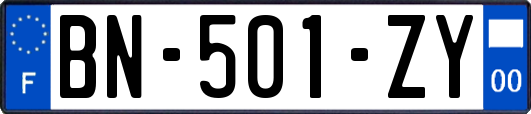 BN-501-ZY