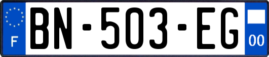 BN-503-EG