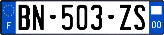 BN-503-ZS