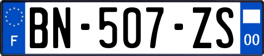 BN-507-ZS