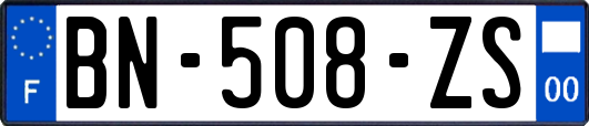 BN-508-ZS