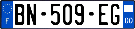 BN-509-EG