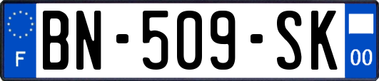 BN-509-SK