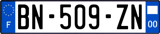 BN-509-ZN