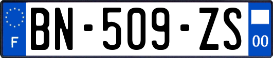 BN-509-ZS