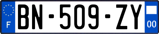 BN-509-ZY