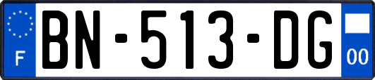 BN-513-DG