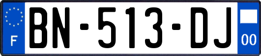 BN-513-DJ
