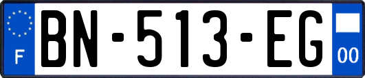 BN-513-EG