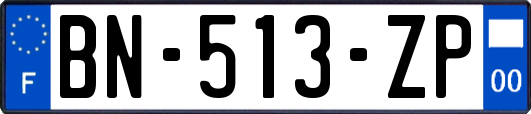 BN-513-ZP