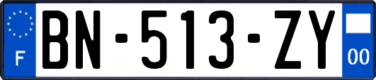 BN-513-ZY