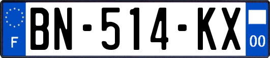 BN-514-KX