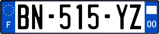 BN-515-YZ