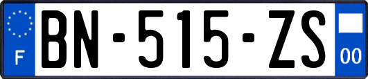 BN-515-ZS