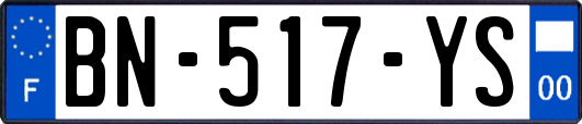 BN-517-YS