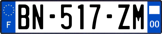 BN-517-ZM