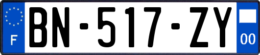 BN-517-ZY