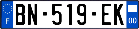 BN-519-EK