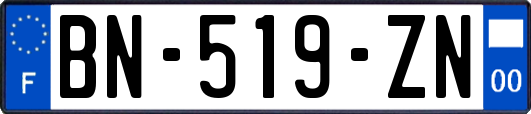 BN-519-ZN